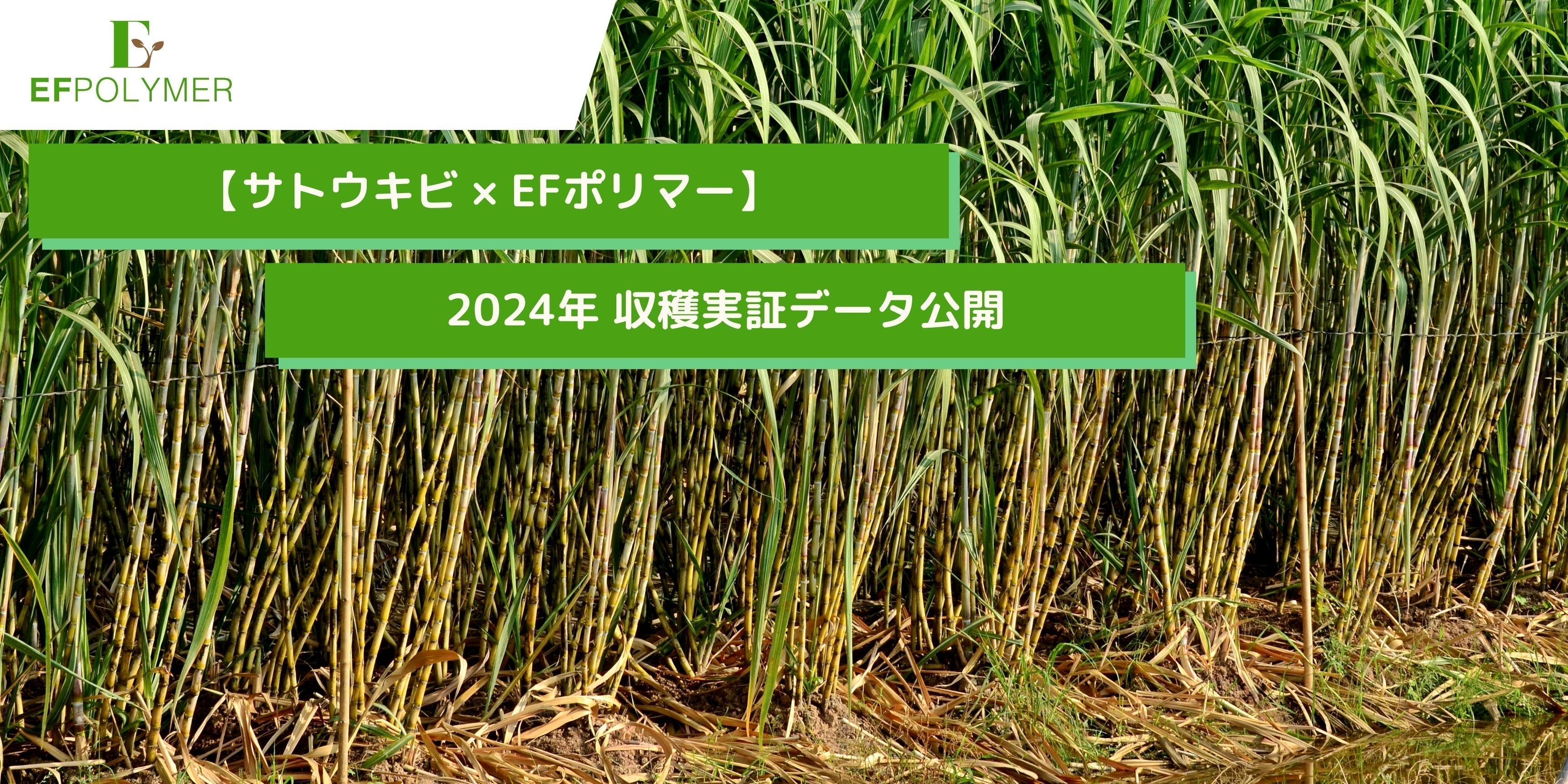 宮古島サトウキビ栽培とEFポリマー