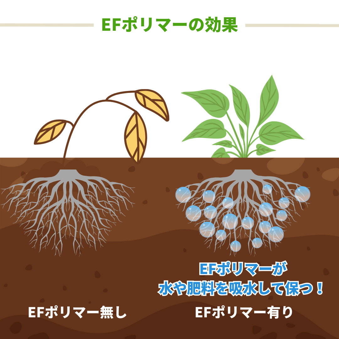 EFポリマー 粒状タイプ