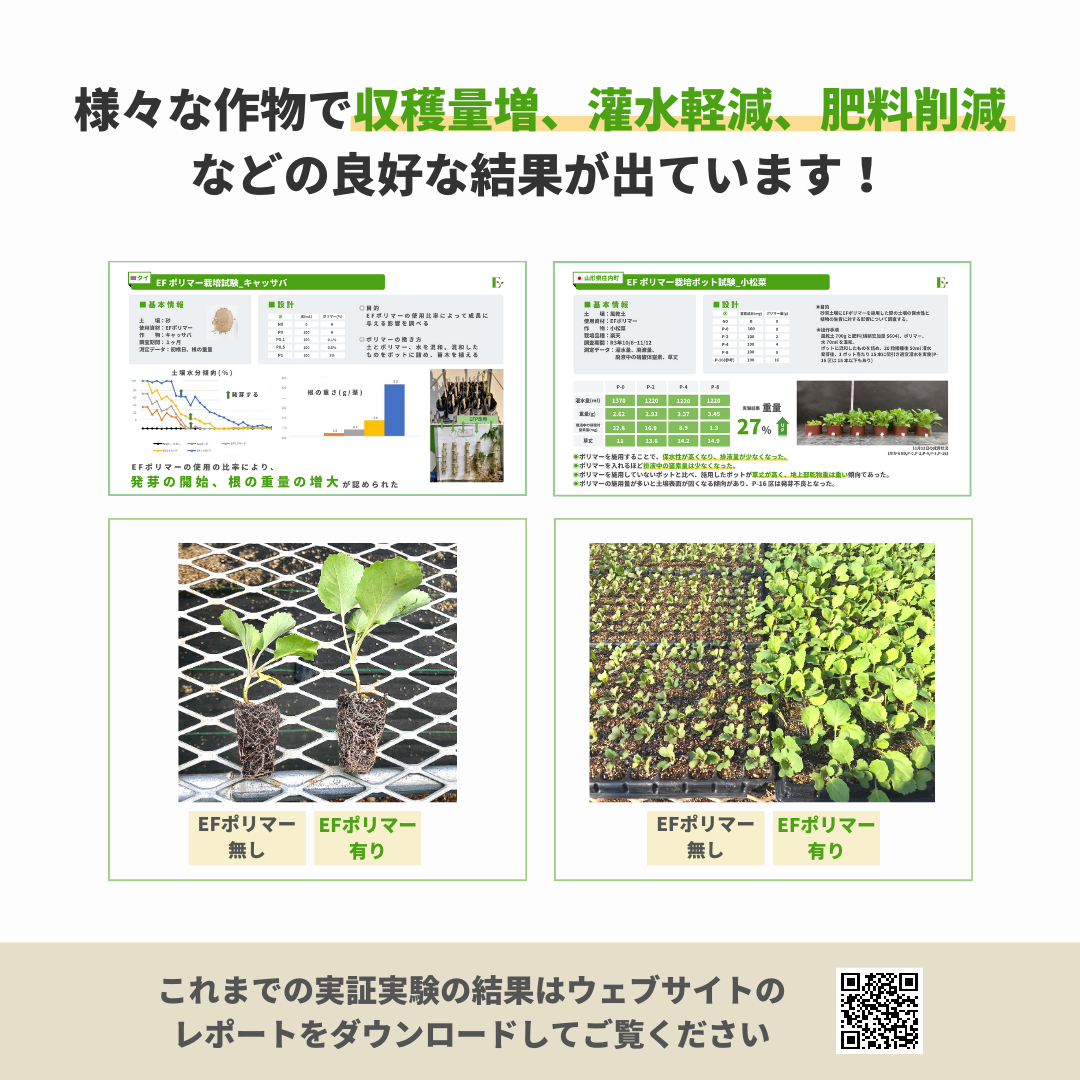 EFポリマー 粉末タイプ