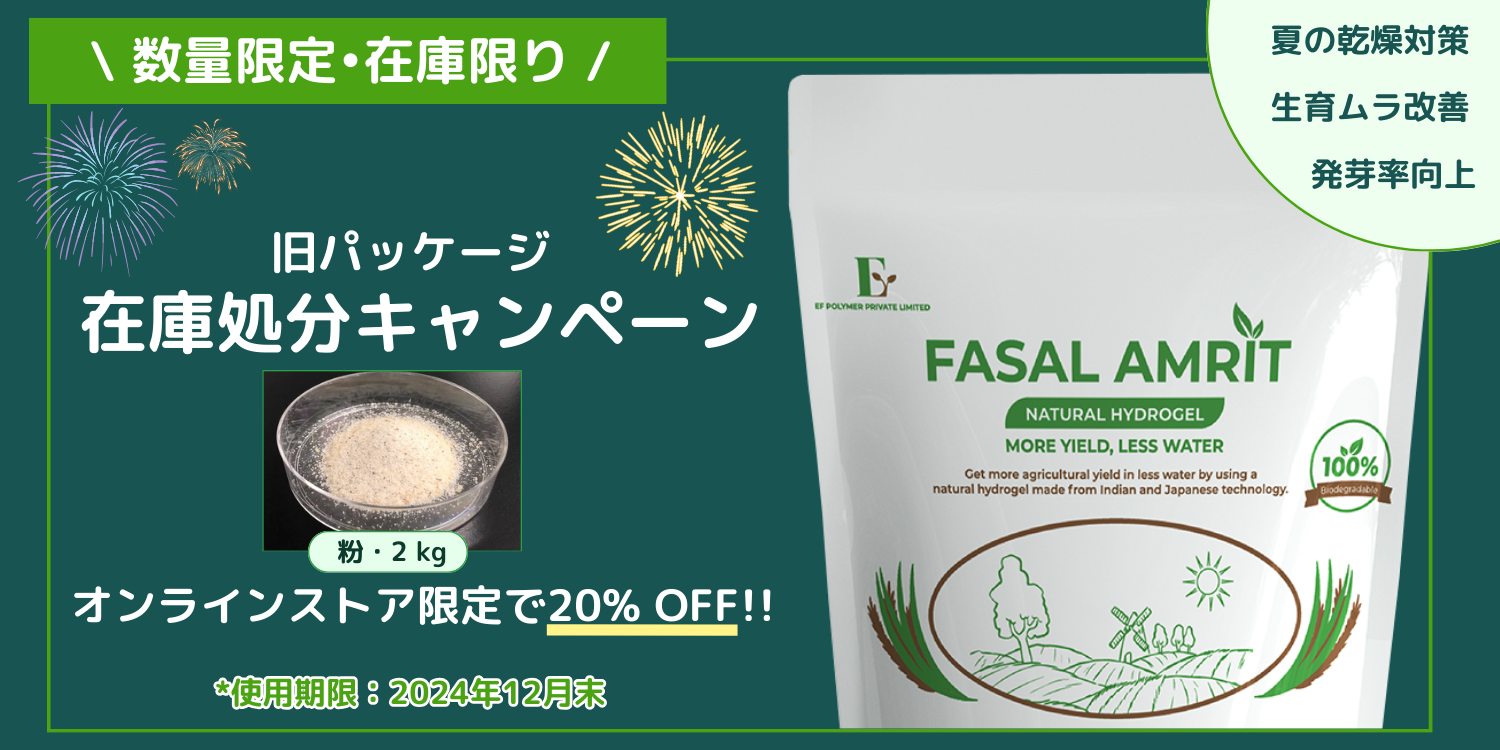 【数量限定】旧パッケージ 在庫処分キャンペーン 20%OFF