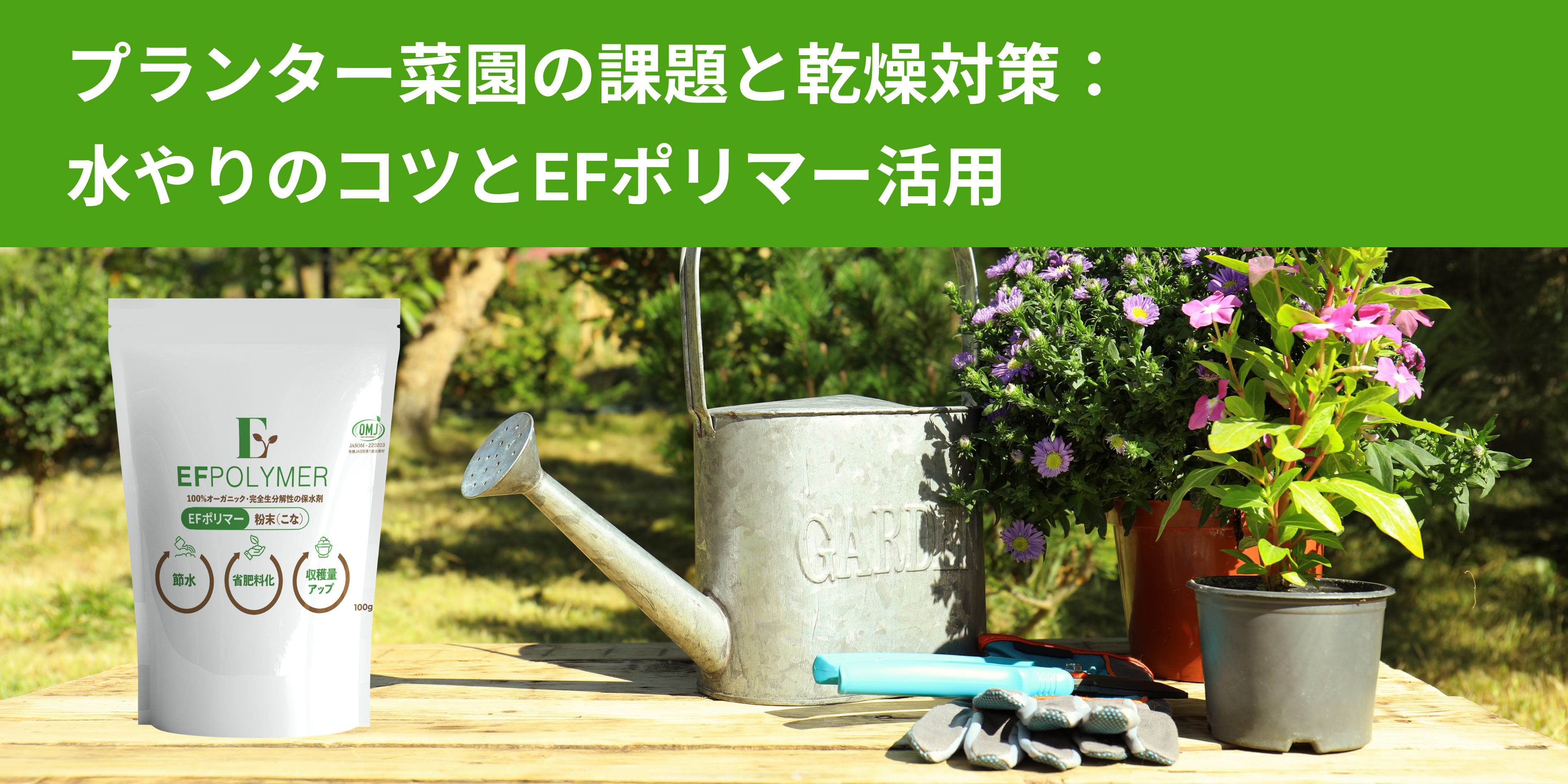 プランター菜園の課題と乾燥対策：水やりのコツとEFポリマー活用